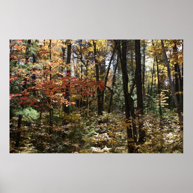 Deep Skogen Beauty Poster (Framsidan)