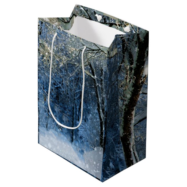 Deep Skogen Winter Wonderland Magic Gift Bag (Framsidan Vinklad)
