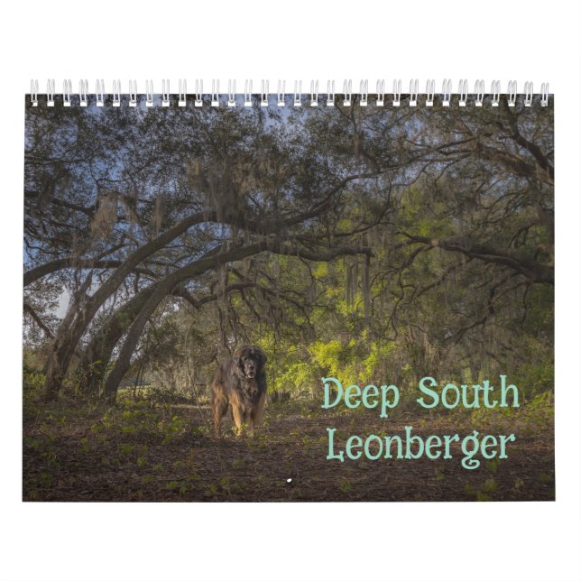 Deep South Leonberger Kalender (Omslag)