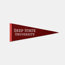 Deep State Universiteten