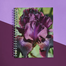 Deep Violet Iris Bloom Blommigt Anteckningsbok