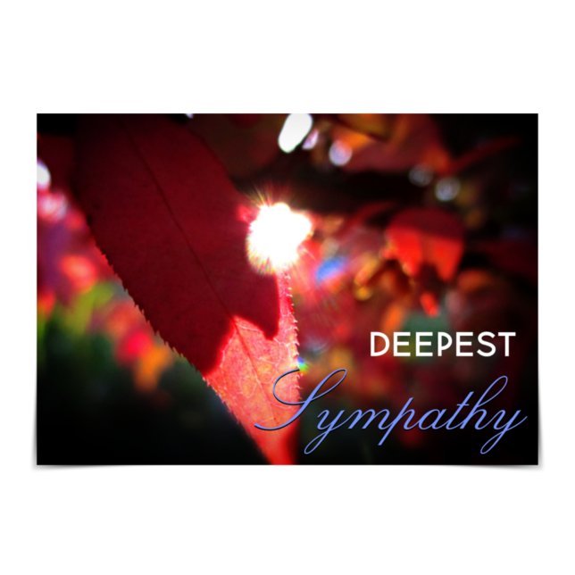 "Deepest Sympathy", brinnande Bushsympatikort Kort (Skapare uppladdad)