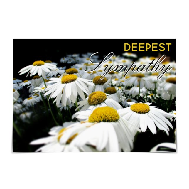 "Deepest Sympathy" Fält på Daisy Card Kort (Skapare uppladdad)