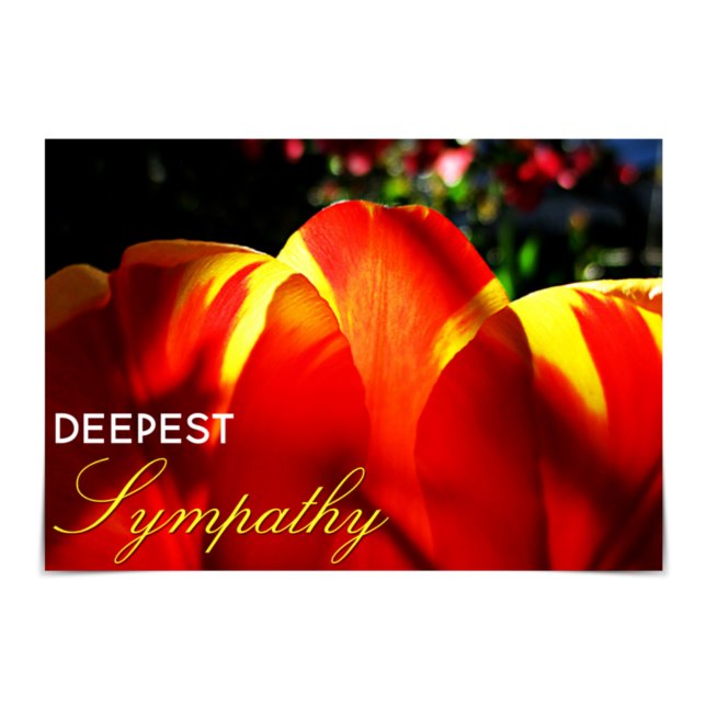 "Deepest Sympathy" Glowing Tulip Card Kort (Skapare uppladdad)