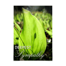 "Deepest Sympathy" Moss och Dogwood Card"