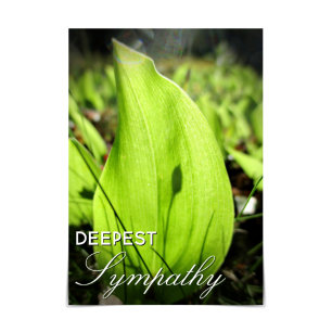 "Deepest Sympathy" Moss och Dogwood Card" Kort