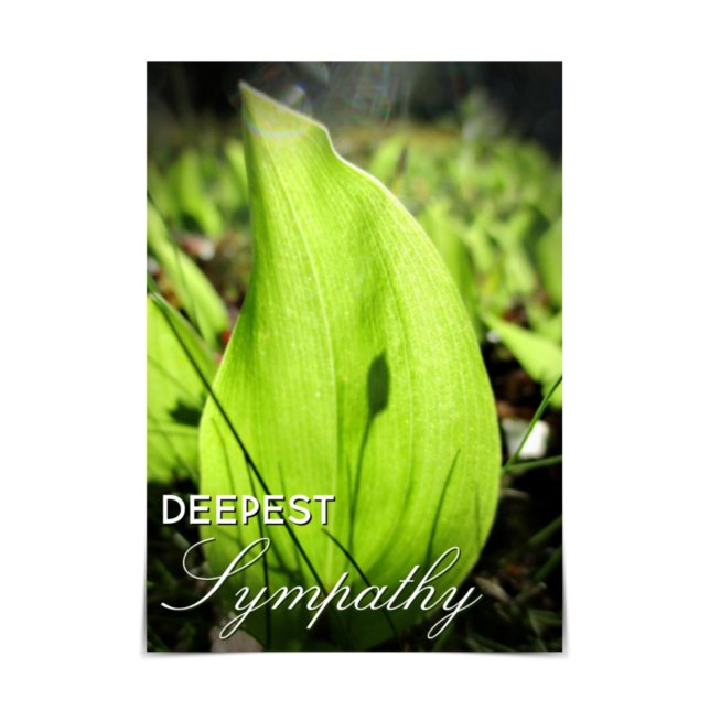"Deepest Sympathy" Moss och Dogwood Card" Kort (Skapare uppladdad)