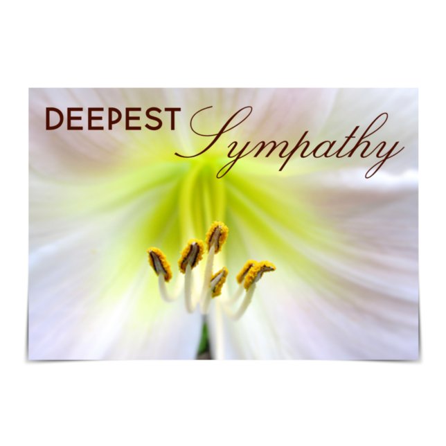 "Deepest Sympathy" Omas vita Lily-kort Kort (Skapare uppladdad)