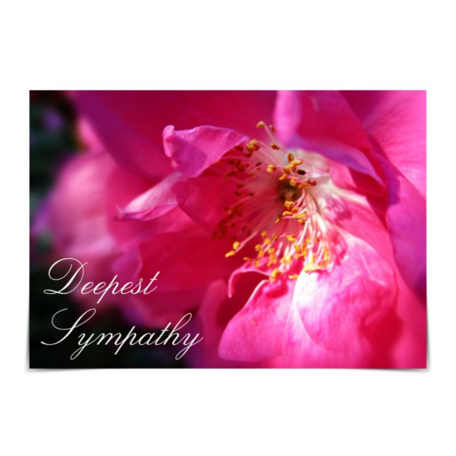 "Deepest Sympathy" Rosa Rugosa Ro Card Kort (Skapare uppladdad)