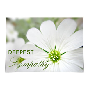 "Deepest Sympathy" Snö-in-Summer-Blommigten Kort