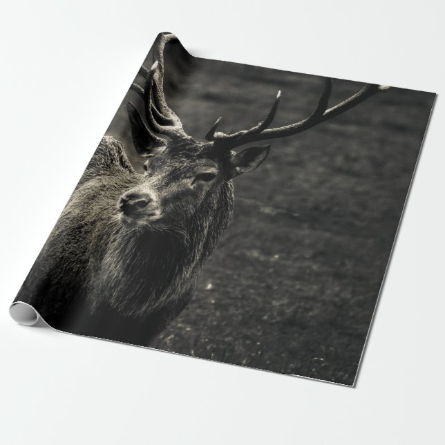 DEER 12 POINT BUCK PRESENTPAPPER (Utrullad)
