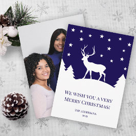 Deer Blue White Winter Christmas Family Photo Julkort