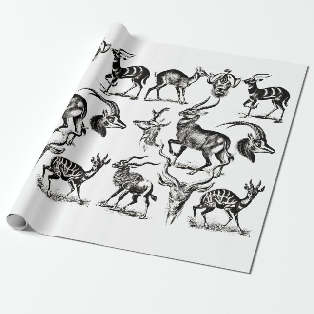 Deer Buck Antelope Animals wildlife Illustrations Presentpapper (Utrullad)