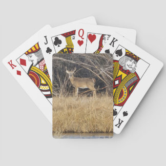 Deer in the Thicket Playing Cards Casinokort