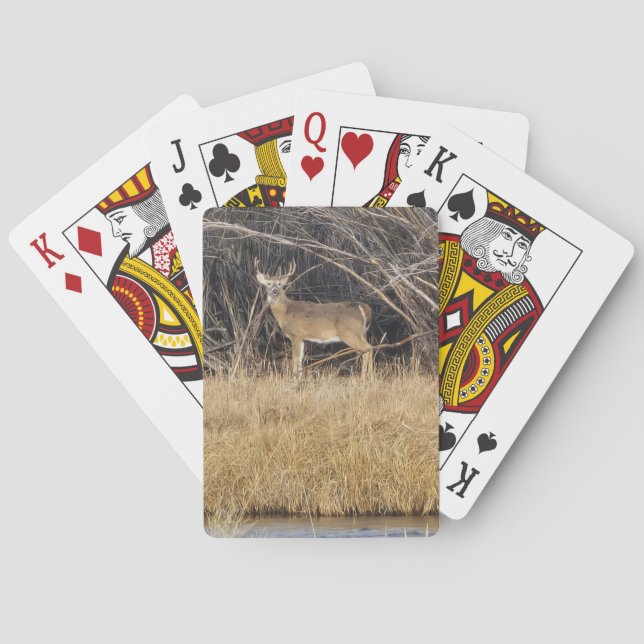 Deer in the Thicket Playing Cards Casinokort (Baksidan)