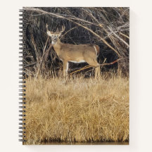 Deer in the Thicket Spiral Notebook