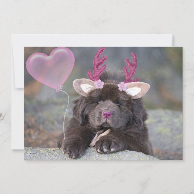 Deer Puppy Alla Hjärtans Dag Julkort (Framsida)