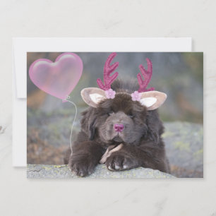 Deer Puppy Alla Hjärtans Dag Julkort