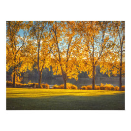 DeerLake i Fall Fototryck