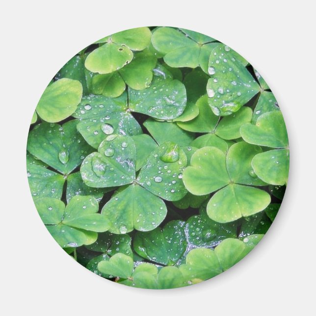 Deerpark Ireland Klöver Dew Drops Magnet (Framsidan)