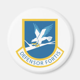 Defensor Fortis Magnet
