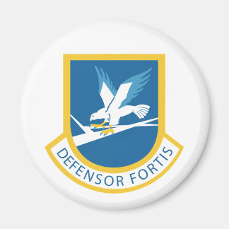 Defensor Fortis Magnet