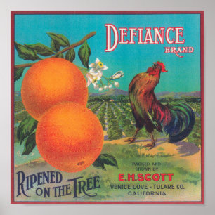 Defiance Orange LabelVenedig Cove, CA Poster