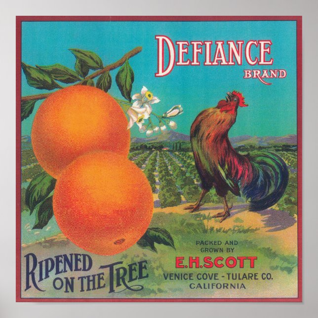 Defiance Orange LabelVenedig Cove, CA Poster (Framsidan)