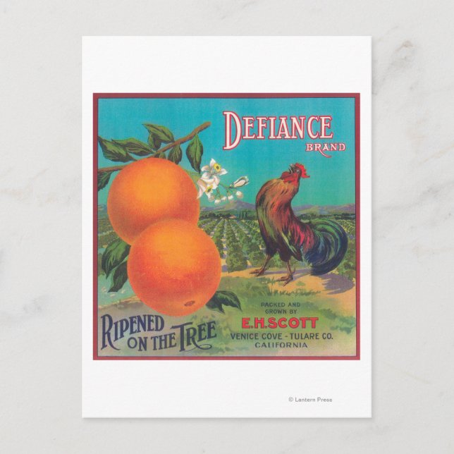Defiance Orange LabelVenedig Cove, CA Vykort (Framsida)