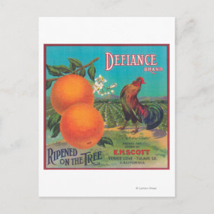 Defiance Orange LabelVenedig Cove, CA Vykort