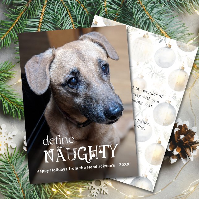 Definiera Busig Rolig Husdjur Foto Hund Katt Julkort (Define Naughty Pet Photo Holiday Christmas Card with your pet's photo, personalized message on back.)