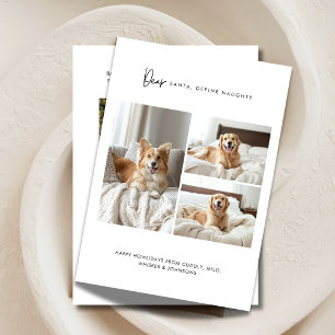 Definiera Naughty Funny 4 Photo Hund jul Pet Julkort