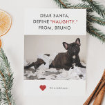 Definiera Naughty Funny Pet Photo Julkort<br><div class="desc">Helgdag-fotokort för djurälskare! I texten står det "Kära tomten, Definiera "NÄTVERKET" från XX (ditt husdjurs namn)." Byt ut bild mot din favoritvalp eller kattunge-ögonblick bild. Garanterad att vara ett sött och hjärtslitande kort som får din familj och dina vänner att skratta och säga "Awww". Enkelt vitt, grått och rött färg...</div>