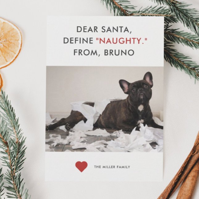 Definiera Naughty Funny Pet Photo Julkort (Skapare uppladdad)
