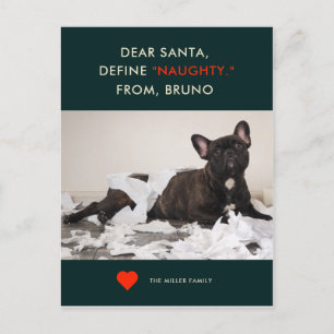 Definiera Naughty Pet-fotofunktionellt Helgdag-k Helg Vykort
