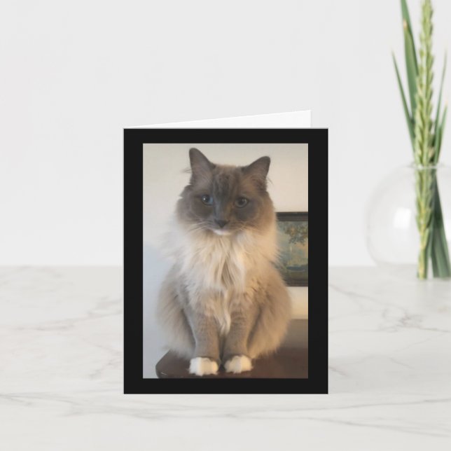 Definition av CAT Kort (Framsida)