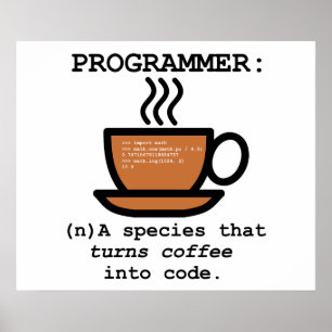 Definition av en programmerare - Geekaffisch Poster