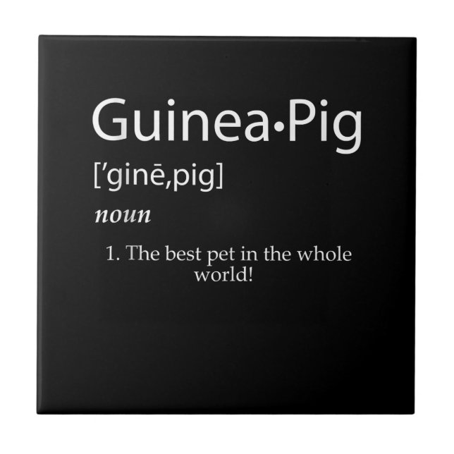 Definition av Guinea Gris - Best Pet För barn Kakelplatta (Framsidan)