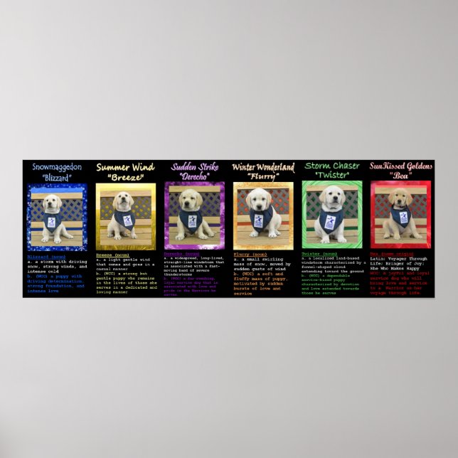 Definitionerna av väder och strö Namn Poster (Framsidan)