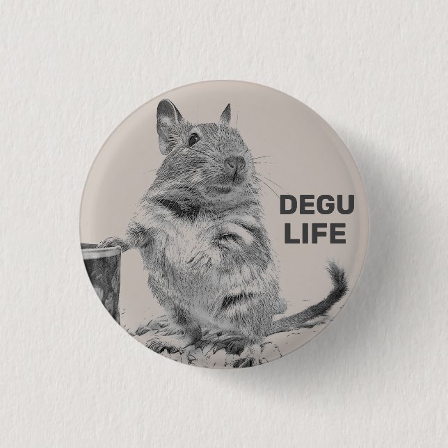 ⊿ DEGU. ⊿ KNAPP (Framsida)