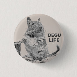 ⊿ DEGU. ⊿ KNAPP
