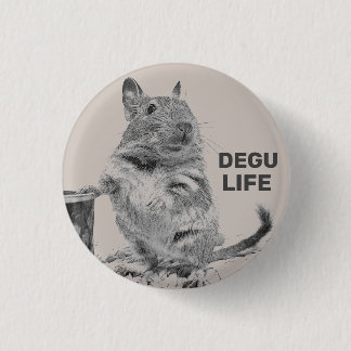 ⊿ DEGU. ⊿ KNAPP