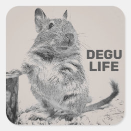 DEGU LIFE FYRKANTIGT KLISTERMÄRKE