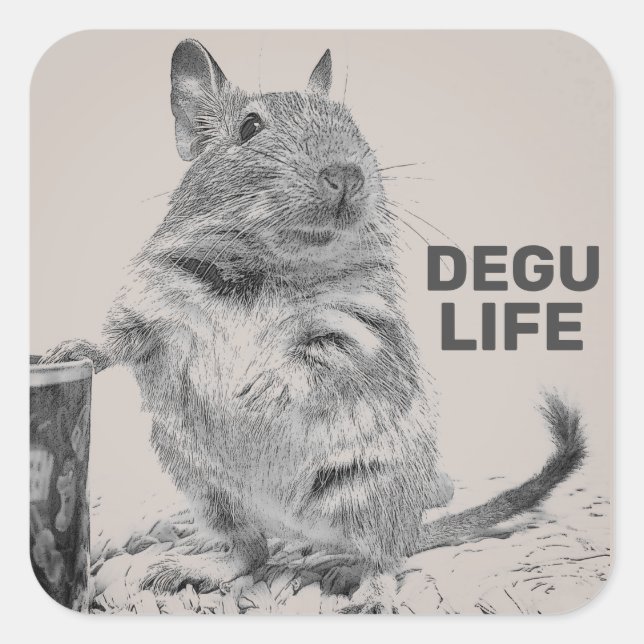 DEGU LIFE FYRKANTIGT KLISTERMÄRKE (Framsida)