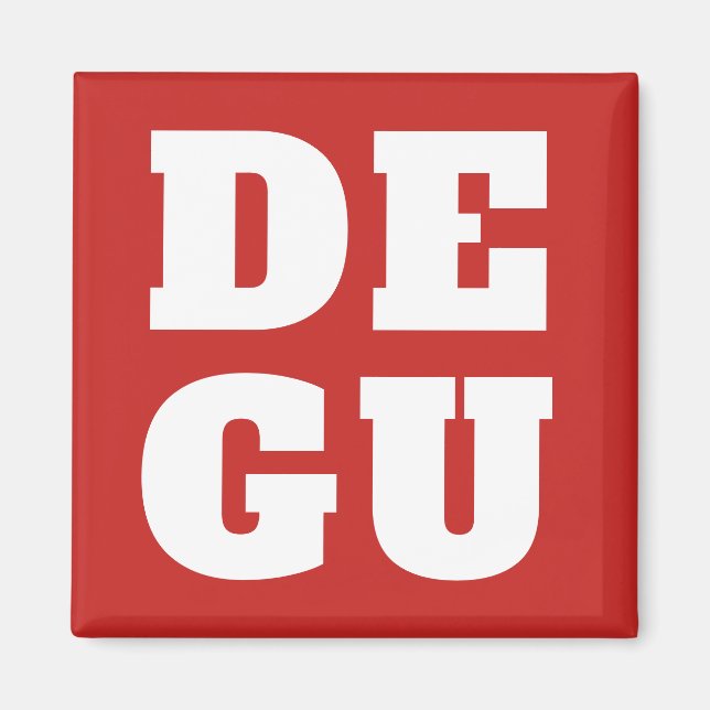 ⊿DEGU⊿ MAGNET (Framsidan)