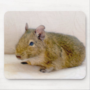 Degu Mousepad Musmatta
