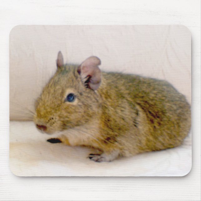 Degu Mousepad Musmatta (Framsidan)