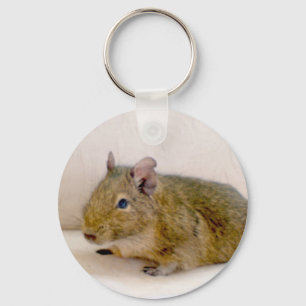 Degu-nyckelkedja Nyckelring