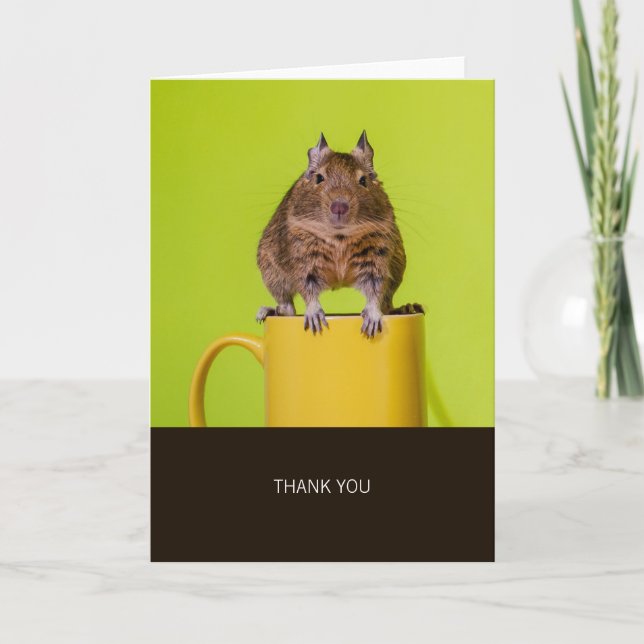 Degu på Gult Kopp Tack (Framsida)