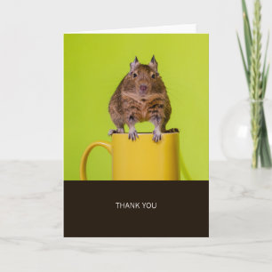 Degu på Gult Kopp Tack Kort